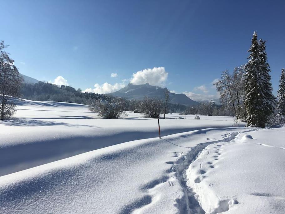 Fritzis Alpenidyll „Sommertraum&Winterromantik” Samerberg Exterior foto
